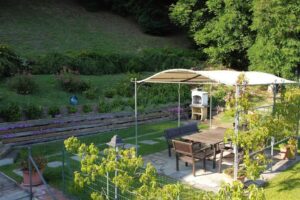 The garden
