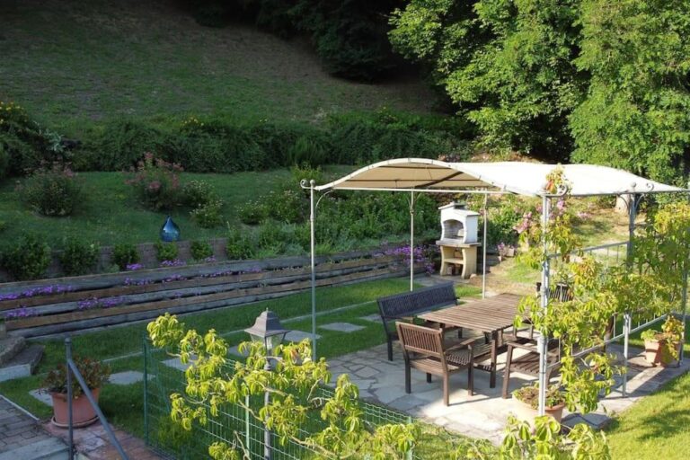 The garden